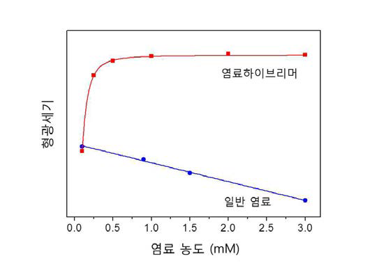 염료 하이브리머의 형광세기의 안정성