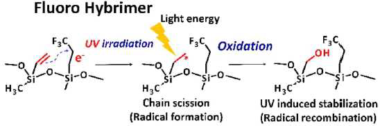 자외선 조사에 의한 플루오르 하이브리머 구조의 화학적 변화