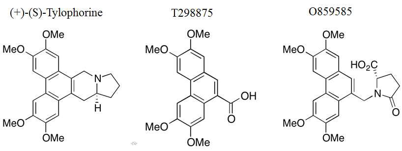 Tylophorine 의 structure based analogy