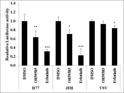 Pseudoparticle assay를 통해 O859585화합물의 효능 검증