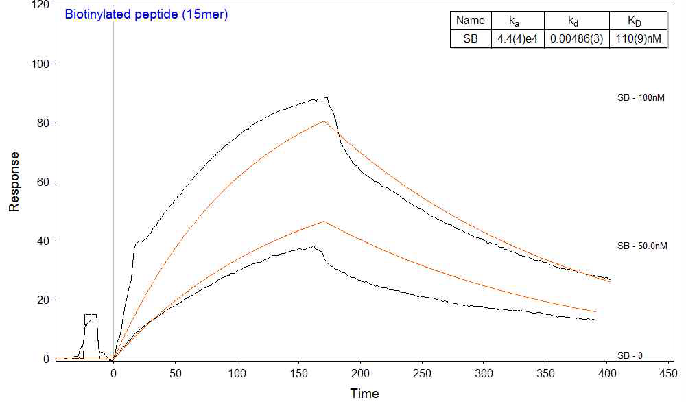 SdgB와 15-mer SDR peptide의 결합력 측정