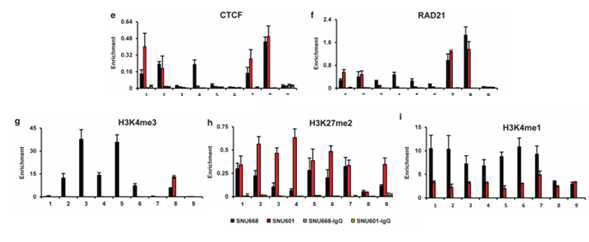 PTGS2 locus에서의 PTGS2발현에 따른 CTCF/Rad21 binding.