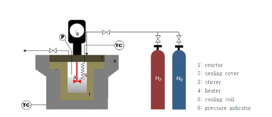 본 연구에서 사용한 고정형 오토클레이브 반응기의 모식도