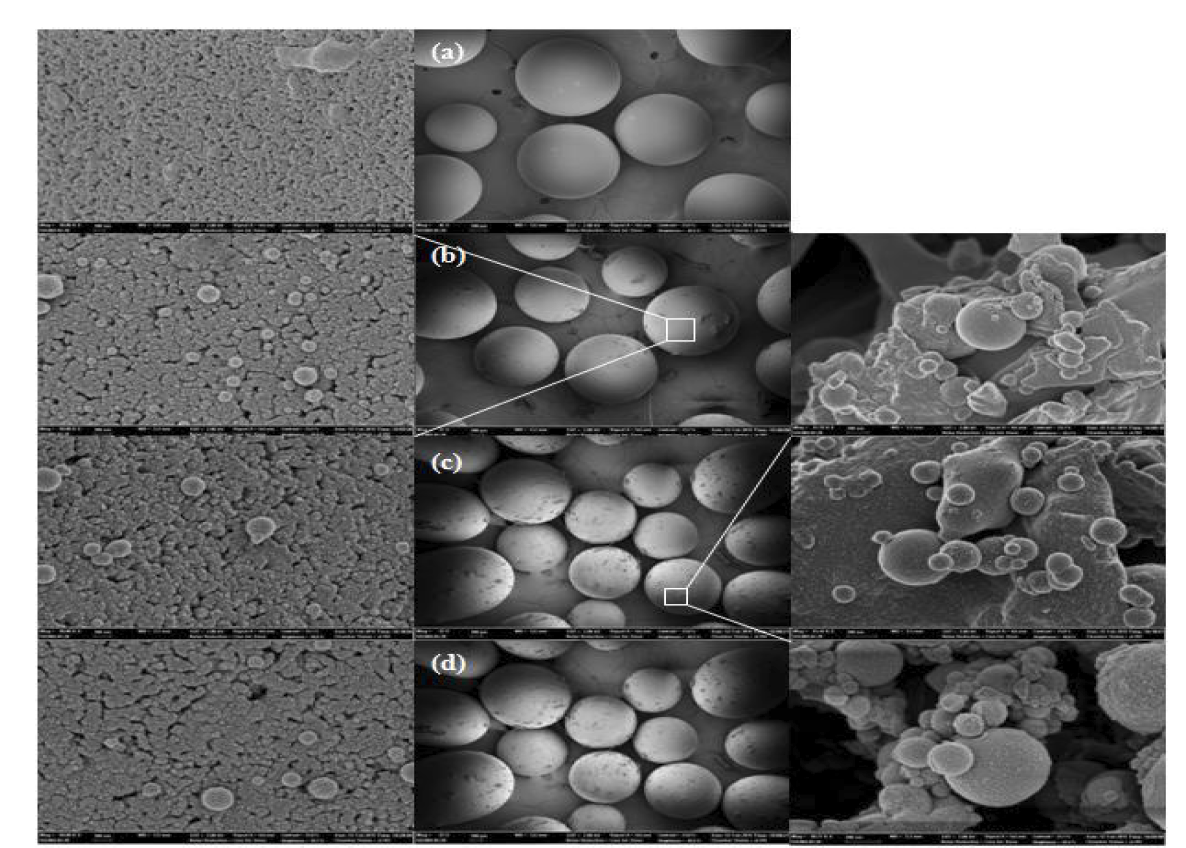 1단계 반응 촉매(amberlyst 36)의 SEM 이미지; (a): 사용 전 (b): 50℃ 반응 후 (c): 100℃ 반 응 후 (d): 150℃ 반응 후 (좌: 촉매 표면, 100nm, 중앙: 촉매 전체, 100μm, 우: 촉매 표면의 응집체, 200nm)