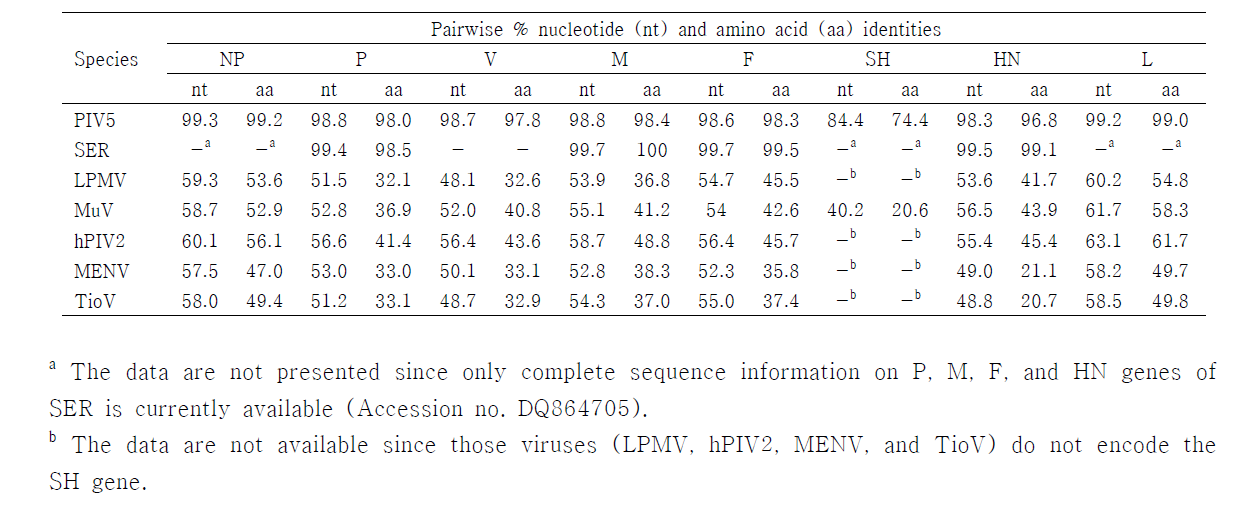 Nucleotide and amino acid identities between proteins from the Korean pPIV5 isolate (KNU-11) and other paramyxoviruses within the genus Rubularvirus.