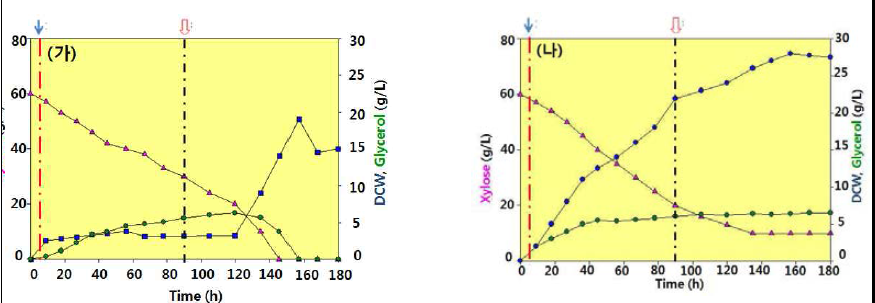 60 g/L의 xylose를 포함하는 배지에서 ΔglpK (가) 균주와 ΔglpKΔgldA (나) 균주의 회분식 배양 결과