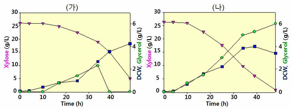 ΔglpKΔgldA / pCaGG (가)와 ΔglpKΔgldA / pCaGGxB (나) 균주의 xylose 배지에서의 회분식 배양 결과