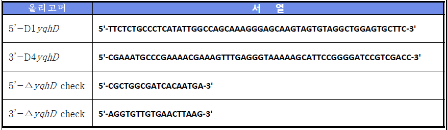 yqhD 유전자 파쇄에 사용된 유전자 올리고머의 서열