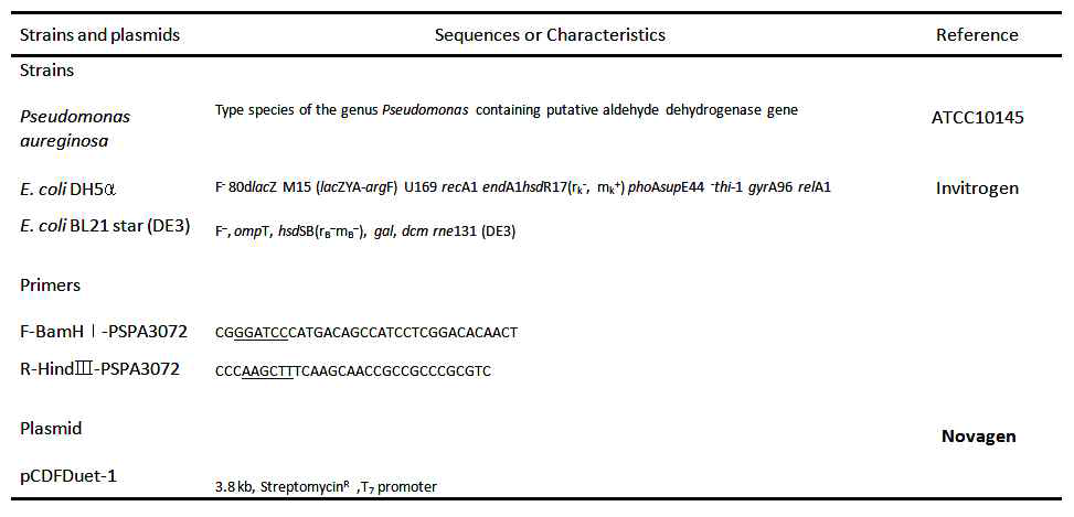 P. aeruginosa 유래의 putative aldehyde dehydrogenase의 cloning에 사용된 균주, primers, plasmids