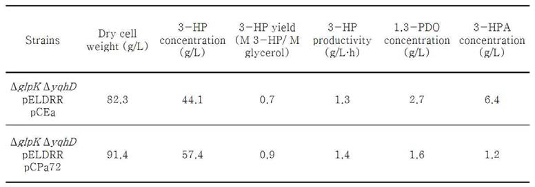 3-HP 생산에 대한 P. aeruginosa 유래의 ALDH의 효과