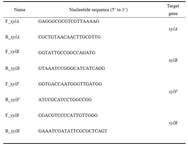 Xylose 오페론의 RT-PCR에 이용된 프라이머 목록