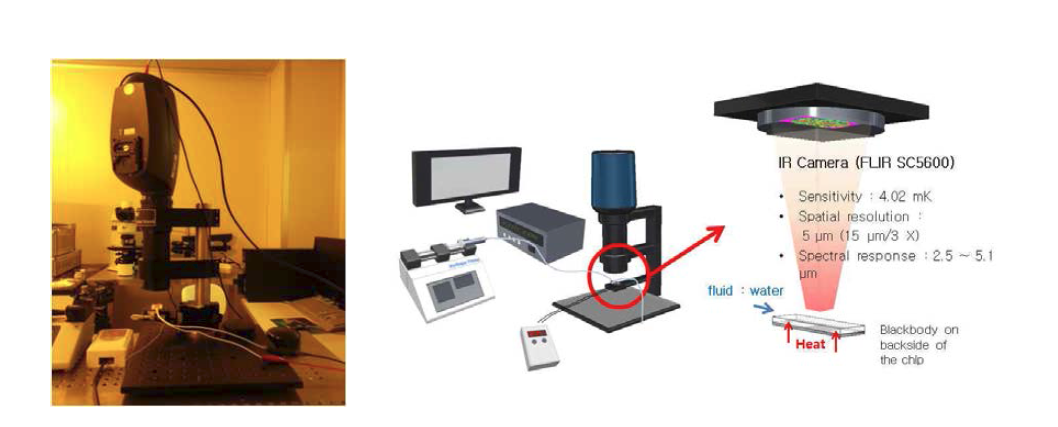 IR microscope setup and Schematic view