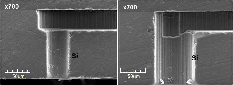 SEM　Image: TSV and Microchannel Side View