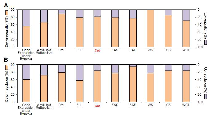 암 스트레스 (A)와 저산소 스트레스 (B)를 처리한 애기장대 줄기의 transcriptome 결과 분석 diagram