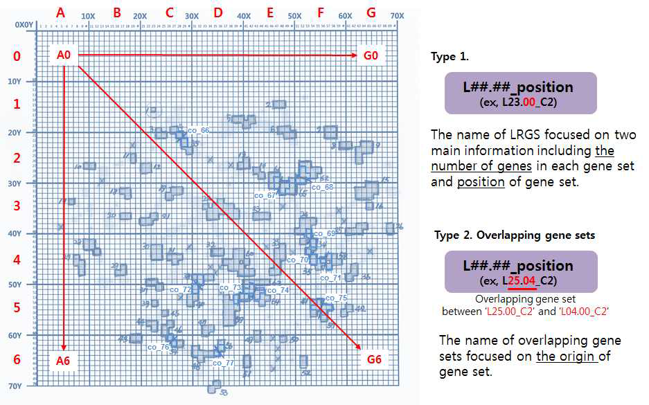 애기장대 유전자 발현 데이터로부터 지질 관련 유전자 세트 데이터 베이스 (lipid-related gene set database) 구축의 모식도