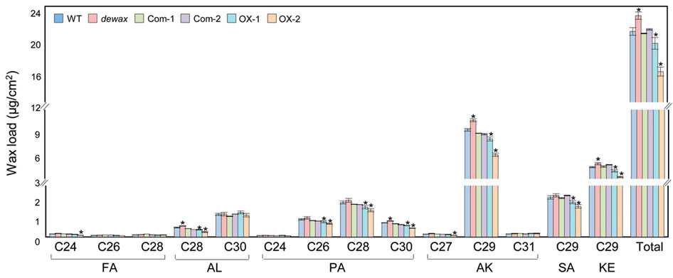 야생형, 돌연변이체, DEWAX 과다발현 식물체와 기능을 회복시킨 식물체 (com-1과 com-2)의 줄기 왁스 분석. FA, fatty acids. AL, aldehydes, PA, primary alcohols. AK, alkanes. SA, secondary alcohol. KE, ketone.