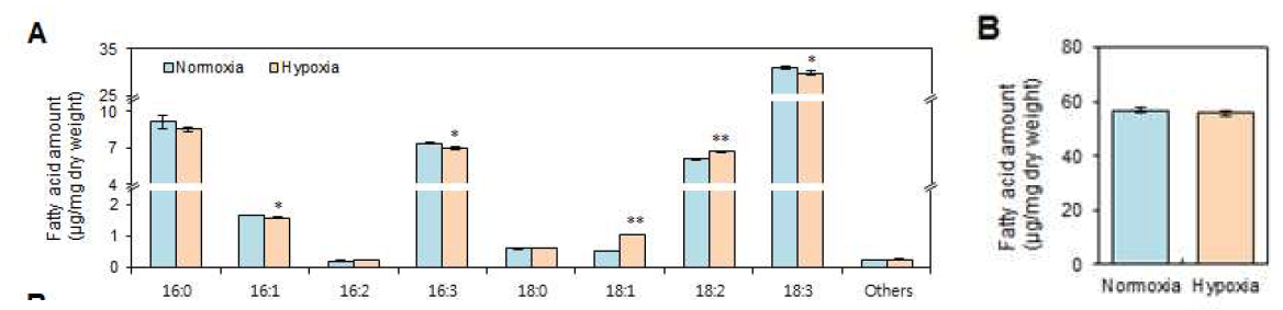 저산소 스트레스를 처리한 애기장대 잎의 total lipid 분석.