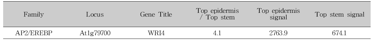 WRI4의 애기장대 줄기 및 줄기표피세포에서의 발현 수준