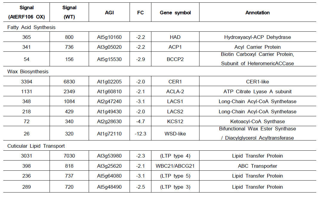 AtERF106 과발현체에서 2배이상 발현이 감소된 큐티클 대사에 관여하는 유전자들의 목록