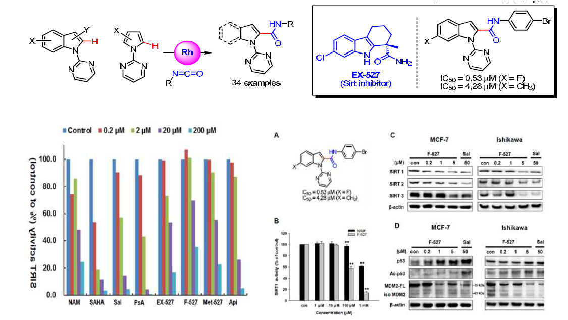 신규 indoles 유도체의 Sirt 저해활성 효과 검색 및 유효물질 도출