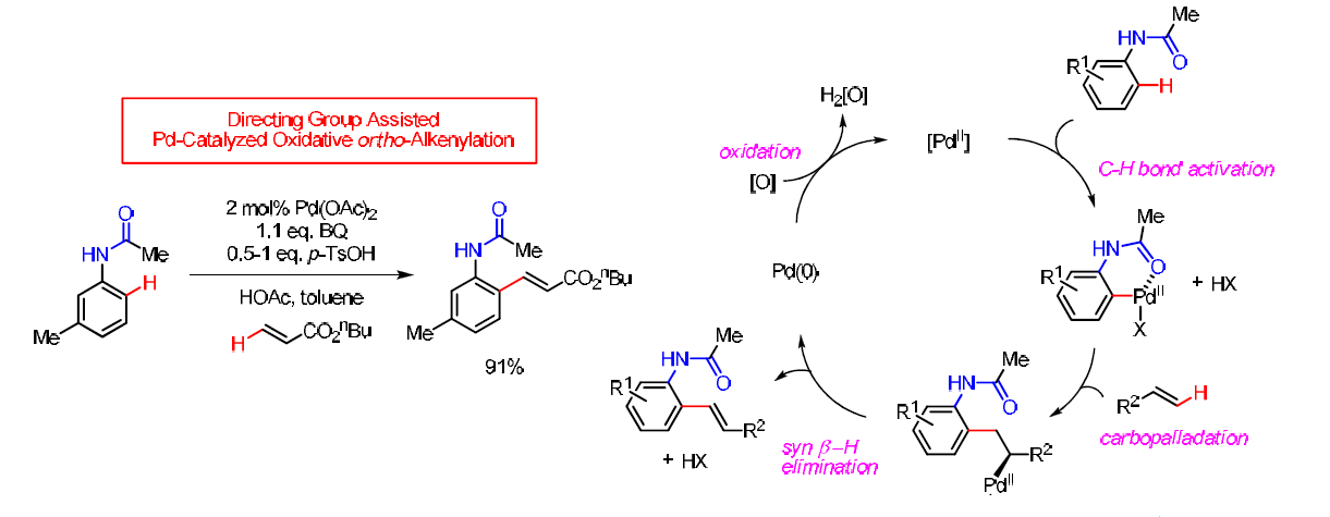 Pd(II) 촉매 하 방향족 화합물 내 탄소-수소 결합의 직접적인 alkenylation 반응