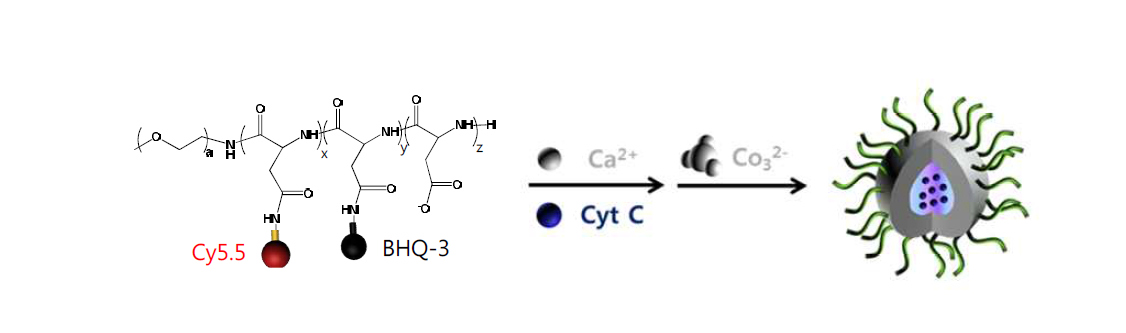 블록 공중합체 유도 Cyt C 담지형 탄산칼슘 나노입자의 제조