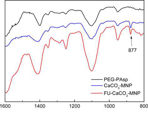 5-FU 담지형 미네랄화 나노입자의 FT-IR spectrum