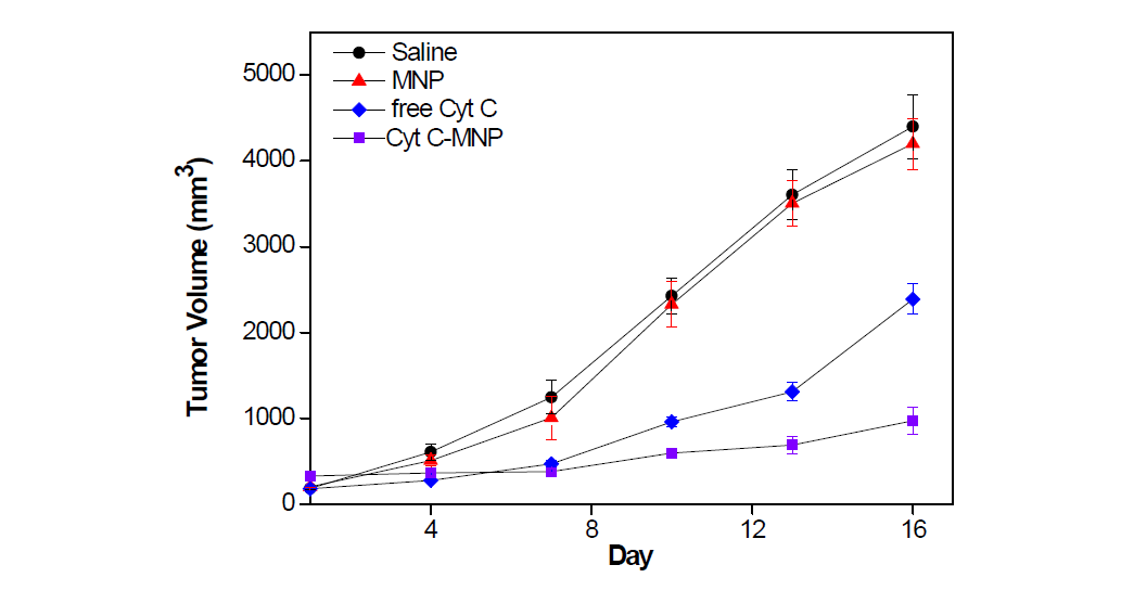 Cyt C-MNP의 암조직 성장 억제 효능 평가