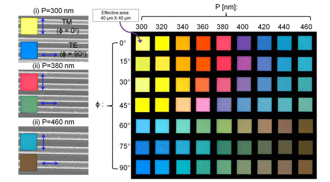 격자 주기와 편광 방향(각도) 따른 색상 변화 제어 결과