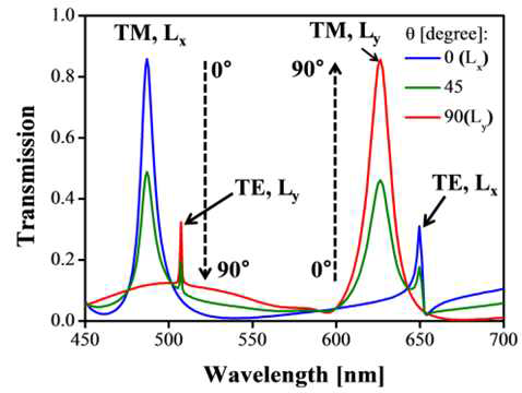 편광에 의해 제어되는 전달특성