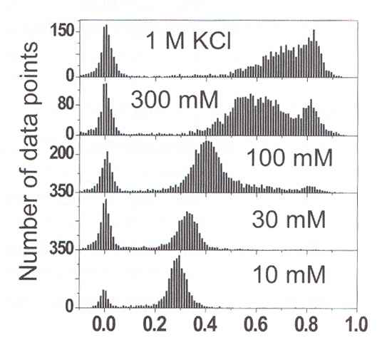 G-quadruplex DNA 의 칼륨 농도에 따른 FRET 차이.