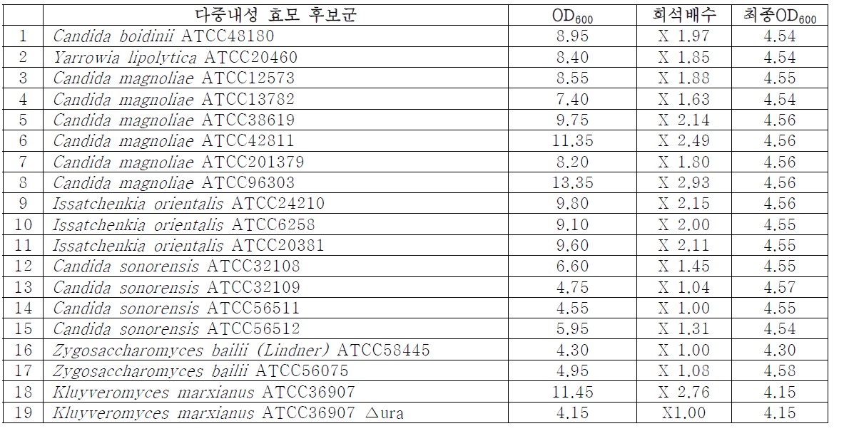 농도 별 spot assay를 시험한 후보 균 및 초기 OD600 설정