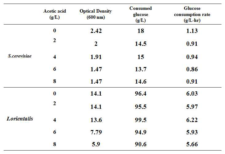 S. cerevisiae 와 I. orientalis 균의 온도 및 아세트산 내성 비교(YPD 배지, 42℃, 아세트산 0~8 g/L, 배양기 교반속도 80rpm 로 발효)
