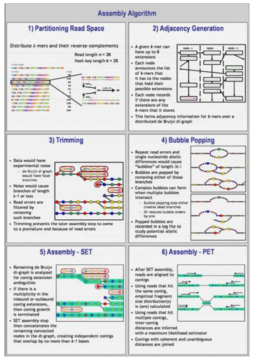 ABySS를 이용한 genome assembly 방법 (JT Simpson, K Wong, SD Jackman. - Genome research, 2009)