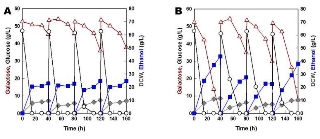 모균주(D452-2)와 갈락토오스 대사능 개선 균주(HJ7-14)의 연속 회분식 배양 프로파일