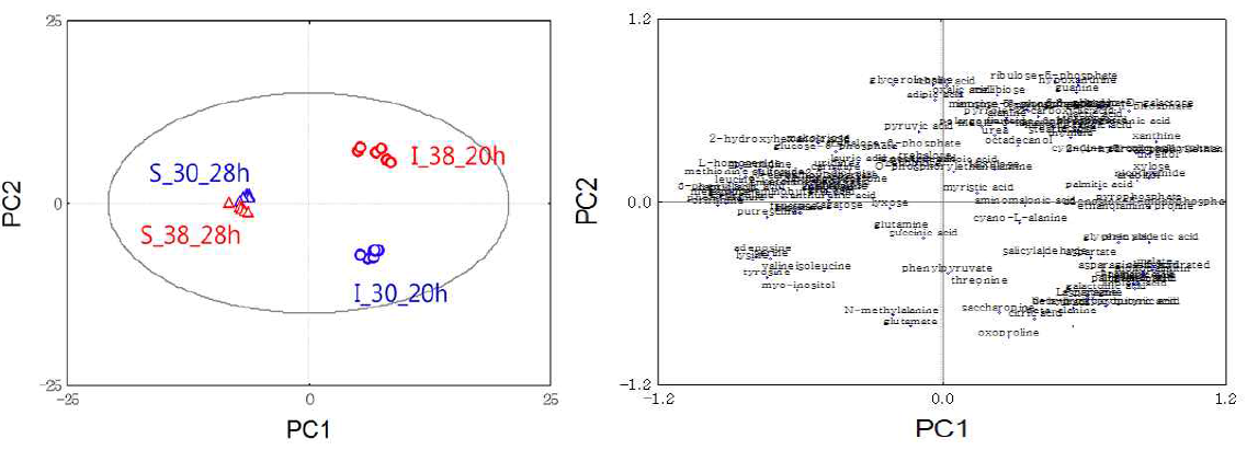 Metabolite profiles by PCA. stationary phase에서 비교분석 결과