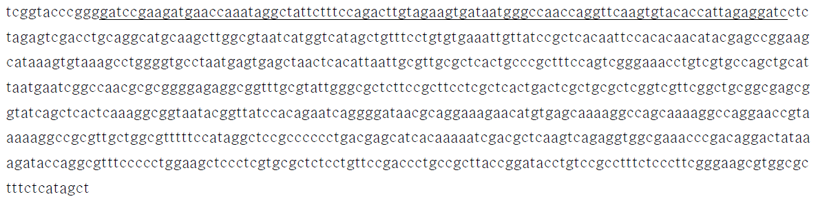 I. orientalis MTY1 균의 genome sequence에서 endogenous ARS 정보(밑줄)