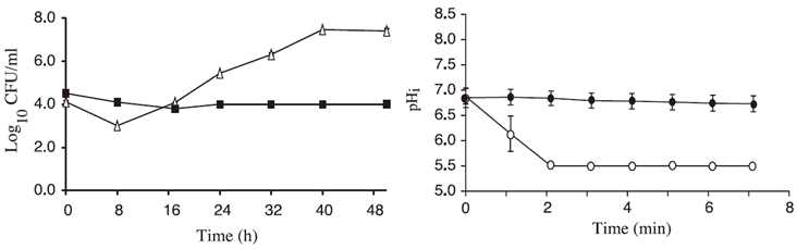 젖산이 C. kruesi(△,●)와 S. cerevisiae(■,○)의 세포성장과 내부pH에 미치는 영향(Halm et al.,2004)