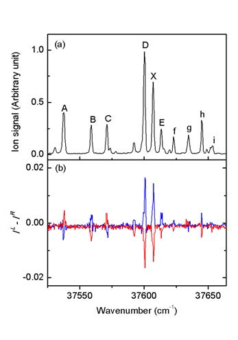 (a) 기체상 L-Phe 의 R2PI 스펙트럼 (b) L-(빨간색)과 D-Phe(파란색)의 R2PICD 스펙트럼