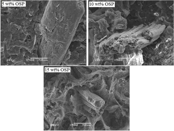 SEM images of Abaca/PP composite filled with different concentrations of OSP