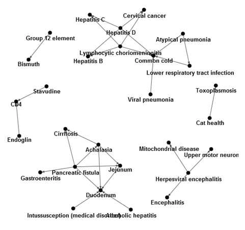 Virus disease 개념계층그래프 결과