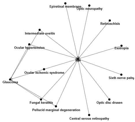 Eye disease 개념계층그래프 결과