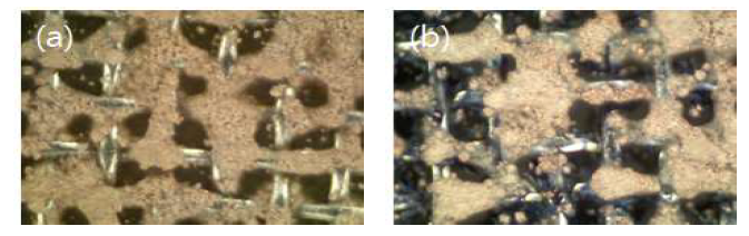 (a) PEDOT 코팅 전, (b) PEDOT 코팅 후 현미경 이미지.