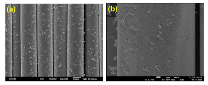 SEM images of the Pt plated PET fibers with the magnification of (a) 1000, (b) 5000.