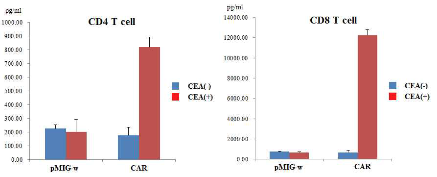 CAR-transduced T cell의 항원인식능