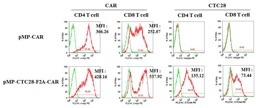 pMP-CTC28-F2A-CAR virus-transduced T cell의 유전자발현율 분석