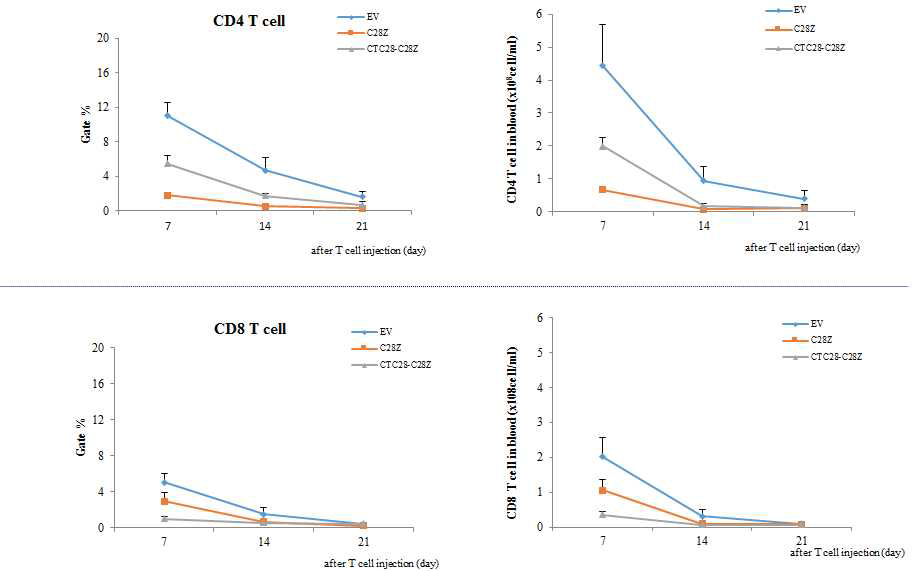 CEA-CAR발현 T세포의 혈액내 비율 및 수의 변화