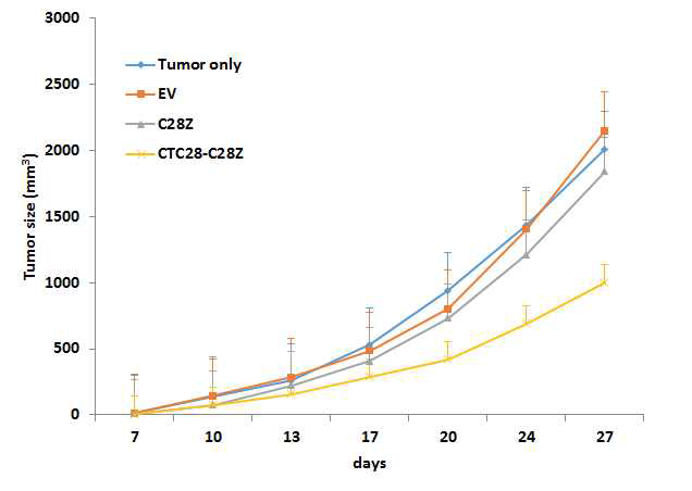 MC38-CEA-B7.1에 대한 이중탑재 T세포의 항종양효과