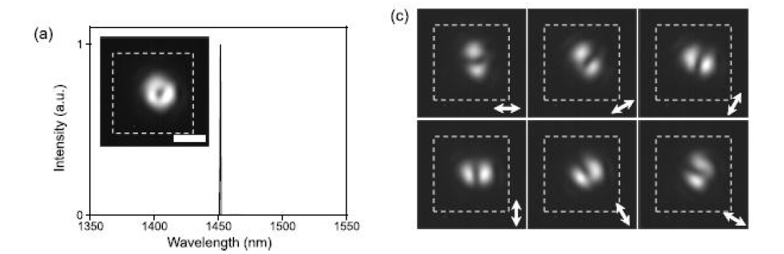 (왼쪽) 레이저 발광모드 이미지와 스펙트럼. (오른쪽) 편광분해 레이저발광모드 이미지.
