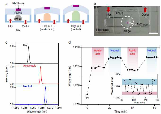 광결정 나노레이저 광센서의 pH측정.